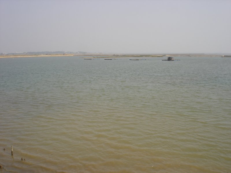 DSC02739.JPG