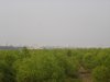 DSC02688.JPG